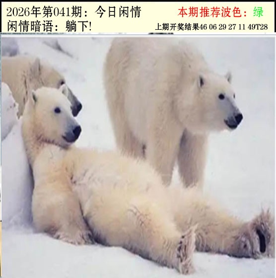 041期今日闲情2[图]