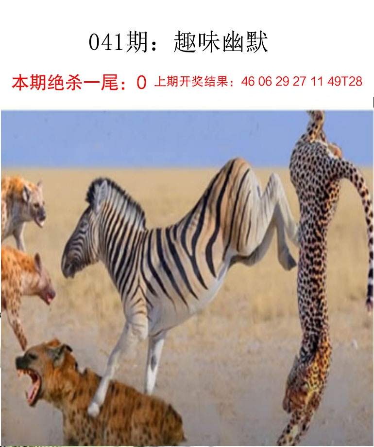 041期趣味幽默[图]