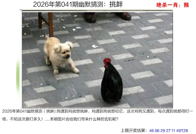 041期幽默猜测[图]