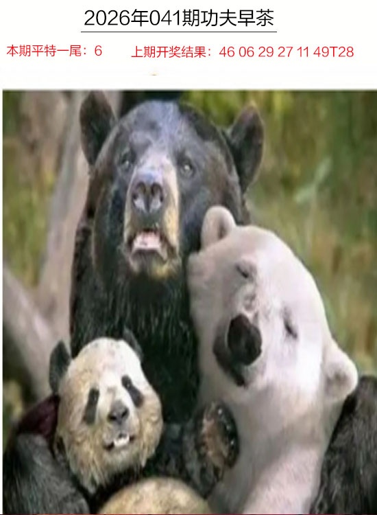 041期功夫早茶[图]