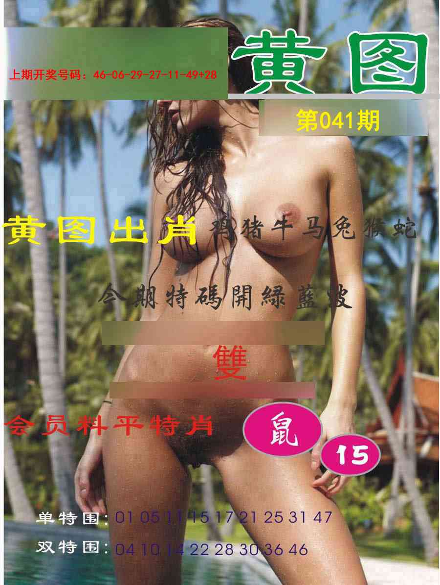 041期黄图[图]