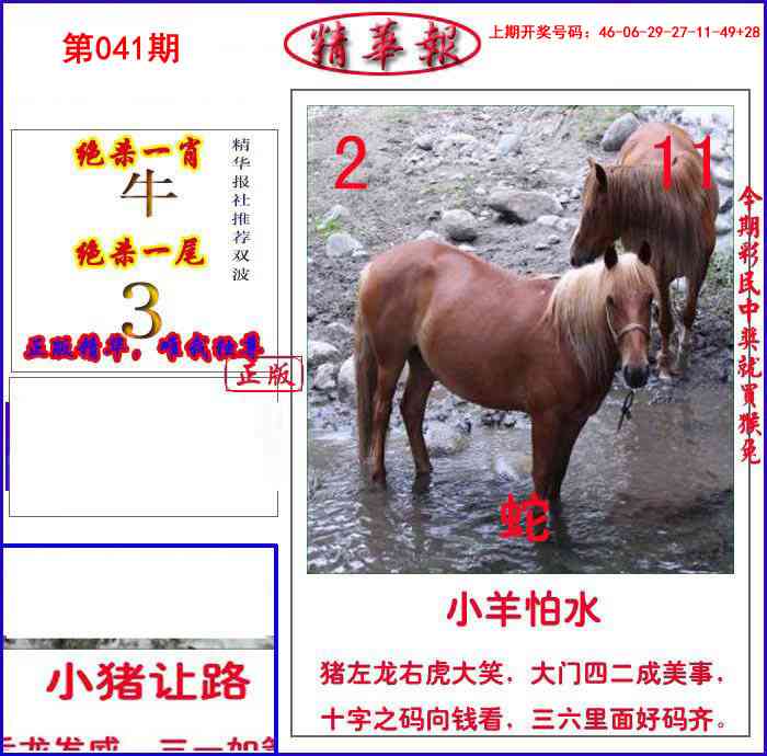 041期新精华报报[图]