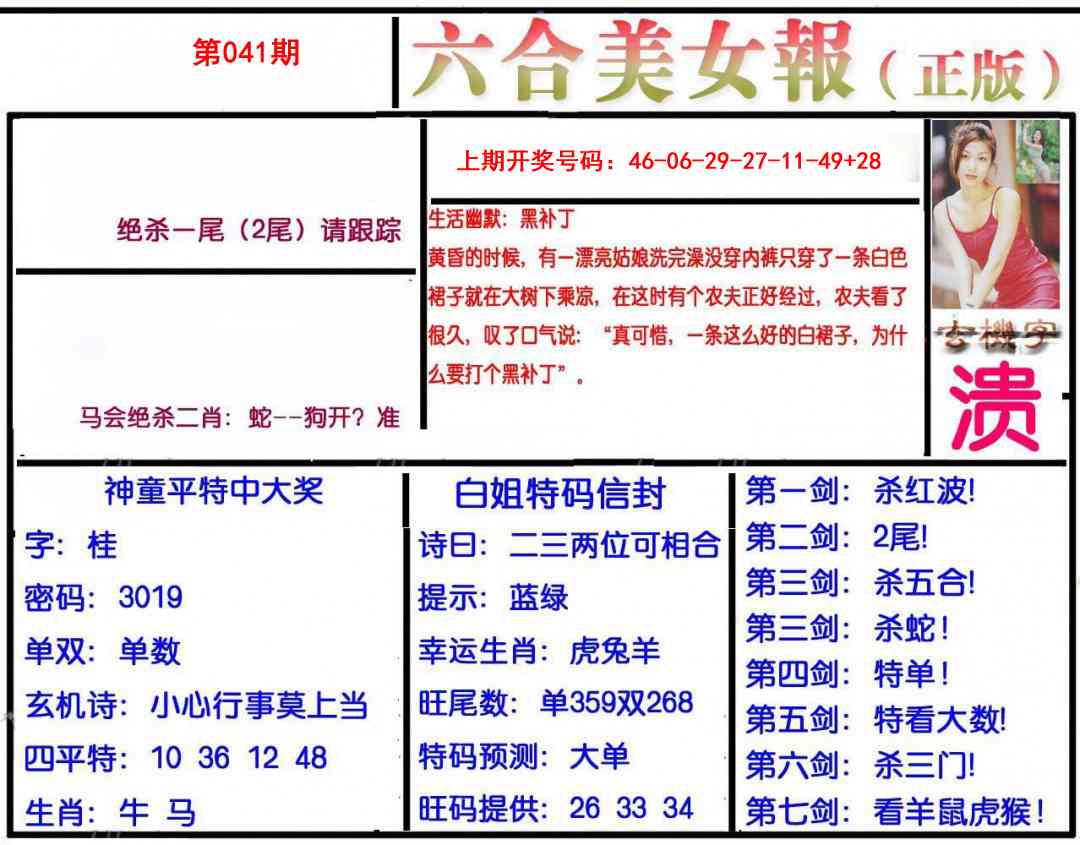 041期美女报[图]