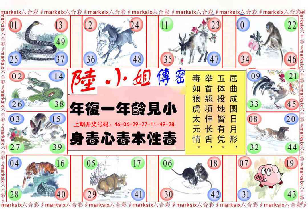 041期陆小姐传密B[图]