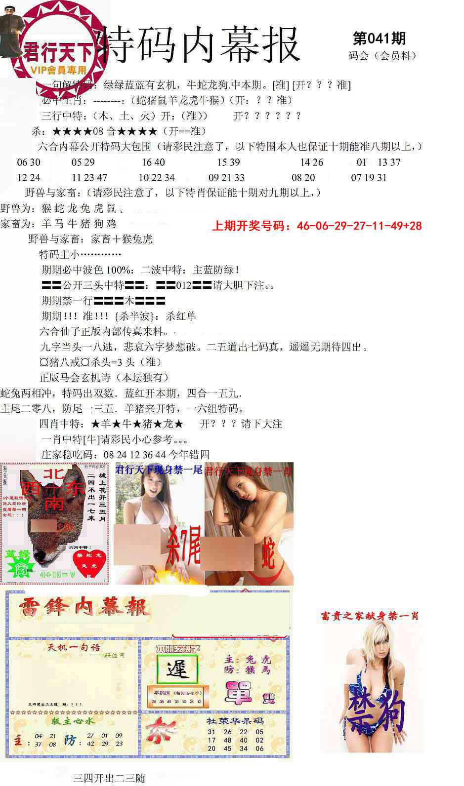 041期特码内幕报[图]