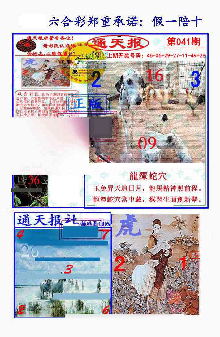 041期假一陪十通天报[图]