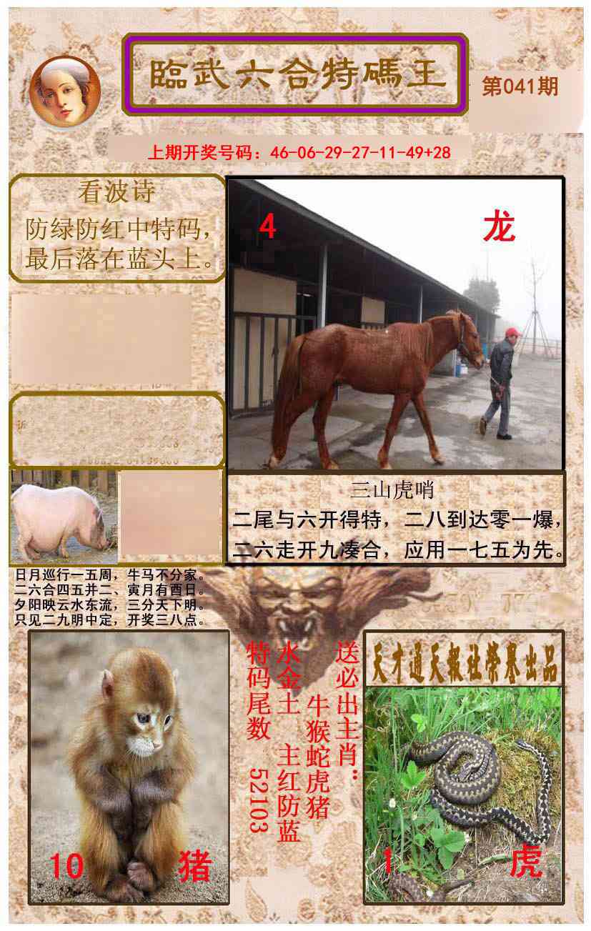 041期临武六合特码王[图]