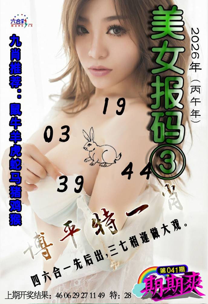 041期美女码报3[图]