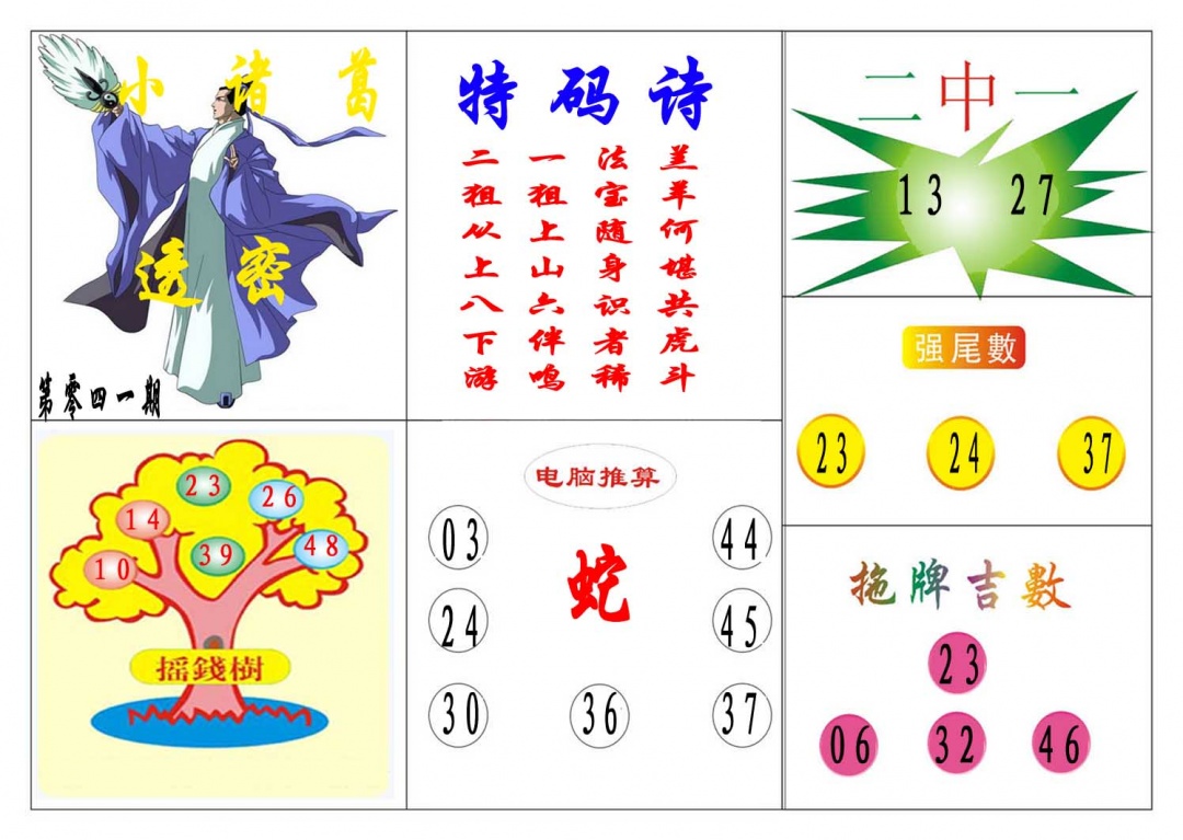 041期小诸葛[图]