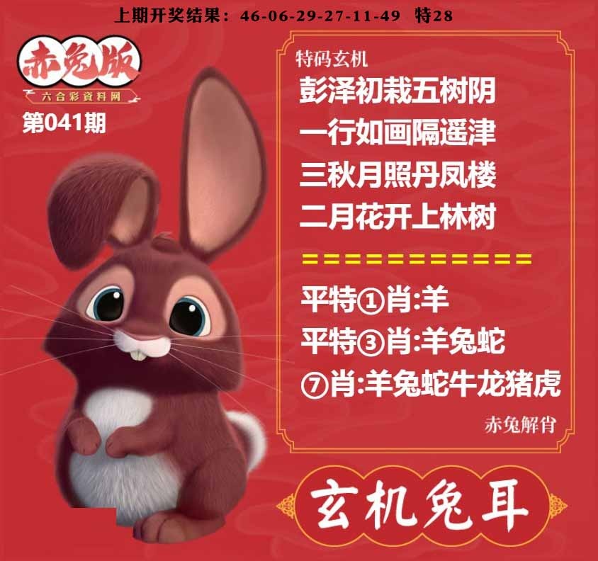 041期玄机兔耳[图]