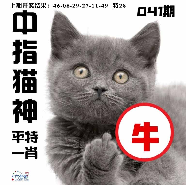 041期中指猫神[图]